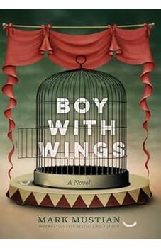 Boy With Wings