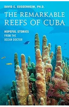 The Remarkable Reefs Of Cuba