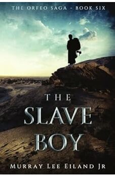 Slave Boy by Evangeline Anderson